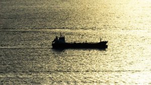 Шедший в Россию сухогруз под флагом Панамы сел на мель у Швеции