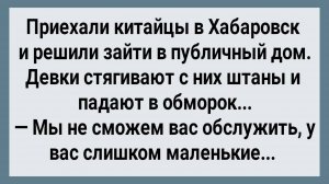 Как Китайцы в Хабаровске в Публичный Дом Ходили! Сборник Свежих Анекдотов! Юмор!
