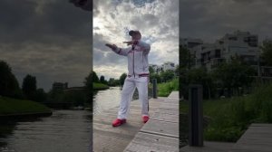 Ицюань (1389 день) Фуань Чжуан / Шень Гуй / Моцабу / Проработка тазобедренных суставов  (31.05.25)