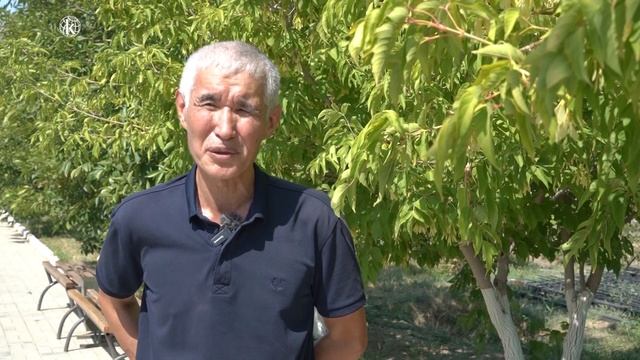 Царские курганы Атырауской области смотреть онлайн