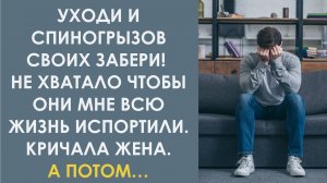 Уходи и спиногрызов своих забери! Не хватало чтобы они мне всю жизнь испортили. Кричала жена, а он