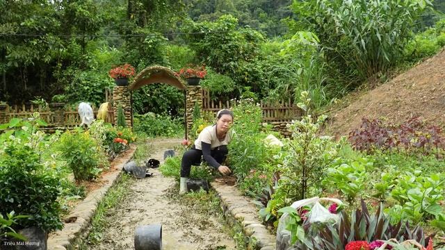Removing Bamboo Beds to Grow More Flowers on the Farm | Trieu Mai Huong