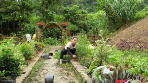 Removing Bamboo Beds to Grow More Flowers on the Farm | Trieu Mai Huong