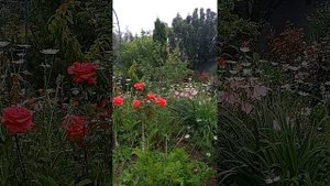 Таро.Новости для вас.