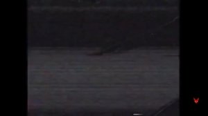 Топ самых страшных [Vhs аналоговый хоррор ] #1