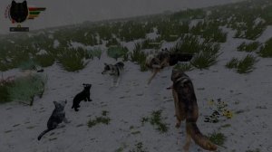 [WolfQuest AE] ЛагиБаги, приколы и странности #21