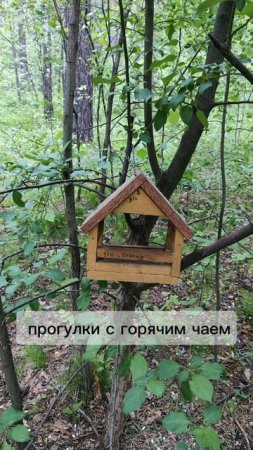 романтика жизни