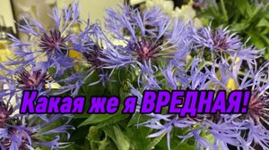 Что делать с моим скверным ХАРАКТЕРОМ?!?😜