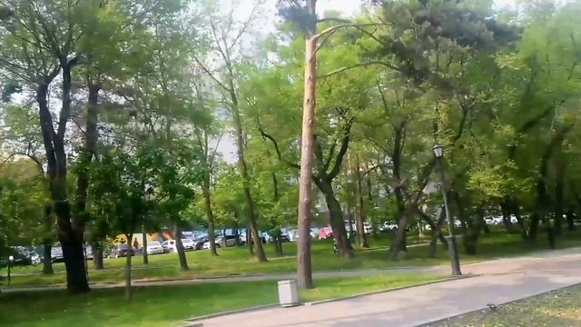 29.05.25 г. путь от ул.Пушкина по Уссурийскому Бульвару до Амура и вверх на ул. Муравьёва- Амурского