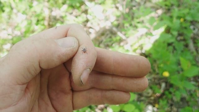 Коп с Братом. В поисках нового места.