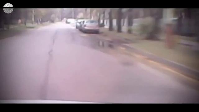 Посмотри по сторонам! смотреть онлайн