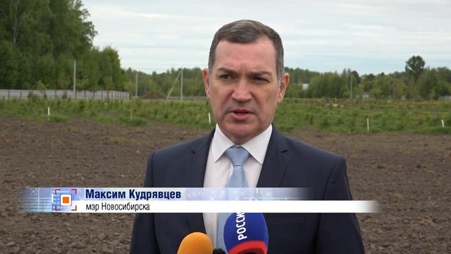 Свыше 10 тысяч деревьев и кустарников планируется высадить в Новосибирске // "Новости 49" 30.05.25