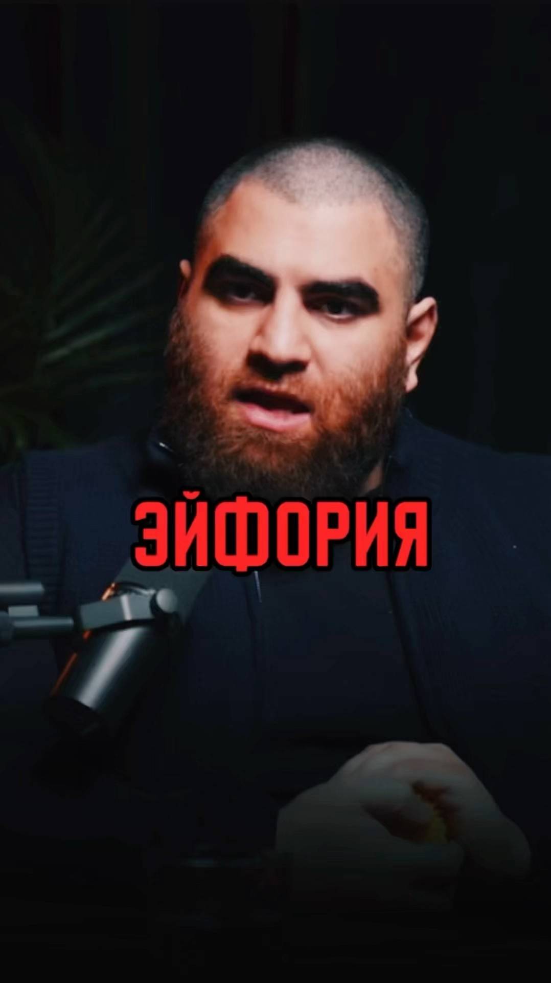 Эйфория   Арсен Маркарян #арсенмаркарян #мужскиеценности #база #базаарсенамаркаряна