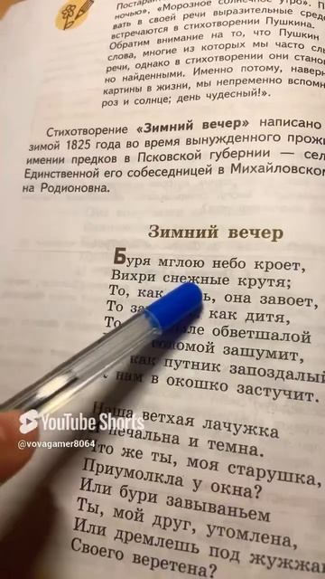 Зимний вечер #стихи #music #shorts #popular #poems #top смотреть онлайн