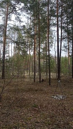 Природа Нижегородской области