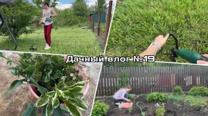 Дачный влог №19 🍓 Посадила новые цветы | Покосила весь участок