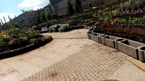 Санкт-Петербург 31 мая сад на Московской