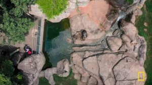 Secrets of the Zoo: North Carolina | MEGA EPISODE | Nat Geo Animals