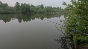 очень мелкая рыба клевала пришлось отпустить утки даже не стесняйся плавали рядом с поплавком