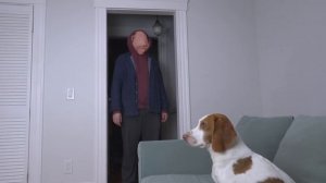 Dogs Figure Out Why John Pork is Calling! Funny Dogs Maymo, Potpie & Indie