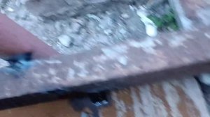 Как открутить гайки на первичном и вторичном валу в ко