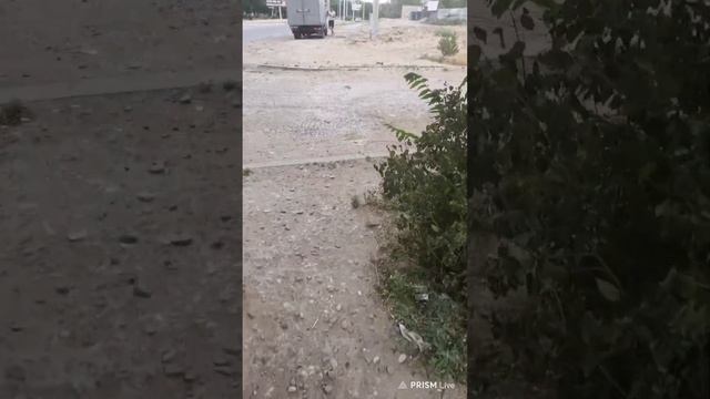 Прямая трансляция fishing и мы !