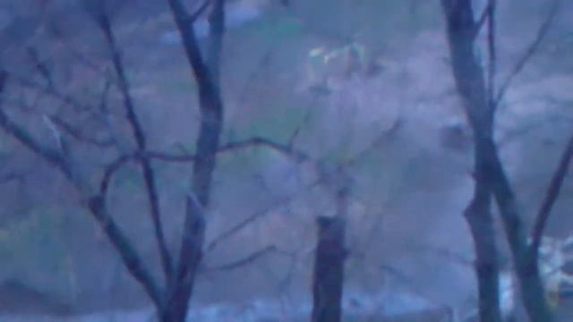 Классная школа L.P.S. 2 смотреть онлайн