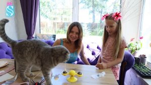 Кошке Мавке 2 года 🎂 Какие подарки 🎁 приготовила Эмма?