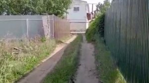 Заяц пришел в гости🐇