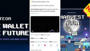 🚀Harvest Moon🔥В бета версию добавлено 2000 новых кошельков?
