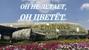 ОН НЕ ЛЕТАЕТ, ОН ЦВЕТЁТ