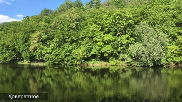 "Новый эпизод "Доверенного": как Яман потеряет все и найдет новое счастье с Наной" смотреть онлайн