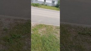1000002120.mp4