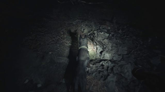 Ведьма из Блэр #2 смотреть онлайн