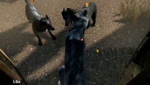 фича по убийству волков ••WolfQuest Anniversary Edition•• #wolfquest3
