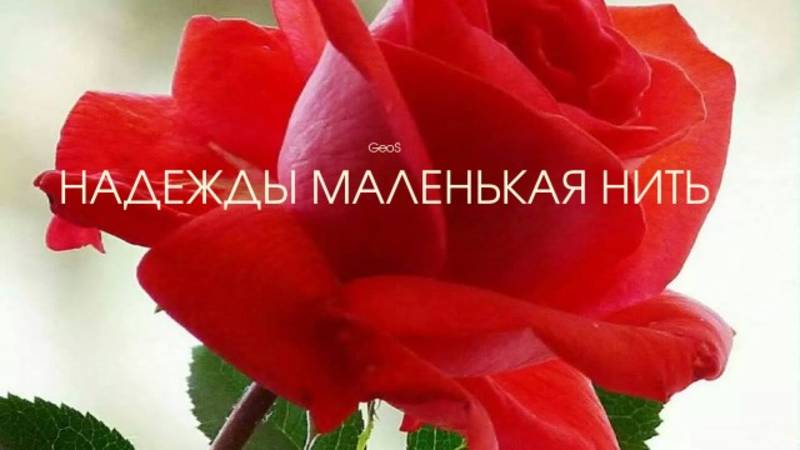 Георгий Шлифер "Надежды маленькая нить"