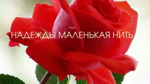 GEOS "Надежды маленькая нить"