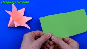 Цветок Лилии своими руками. Как сделать цветы из бумаг