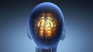 Альфа -волны исцеляют повреждение в организме, массаж