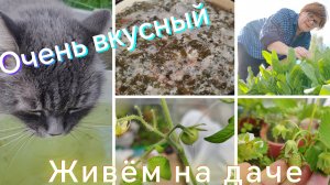 31-05-2025. Занимаюсь в теплице. Рассадила сладкий перец. Соня. Щавелевый суп.