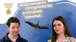 Международное сотрудничество в изучении пернатых | Наша природа с Натальей Торнквист