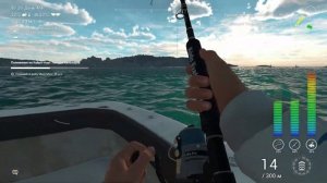 Fishing Planet Полювання на Кайро-Норі: Ланцюг кальмарів