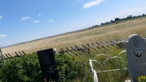 Старое кладбище в степи около села Безрукавка. 😇