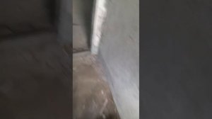 50 лет 142 промывка WhatsApp Video 2025-05-30 at 20.21.02