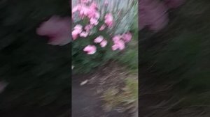 это закат?...