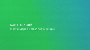 Мозг_лидеров_и_мозг_подчиненных. Вячеслав_Дубынин