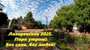 Лазаревское 2025. Парк утром! Побег черепахи!  Без слов, без людей естественный звук!