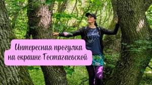Южная станица, окраина, прогулка, удивительное и ароматное растение