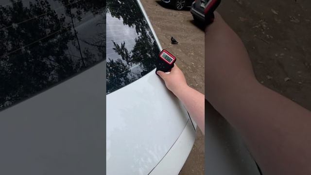 Skoda 2019
