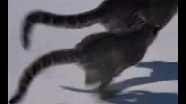 Вертикальный предел (нарезка) смотреть онлайн